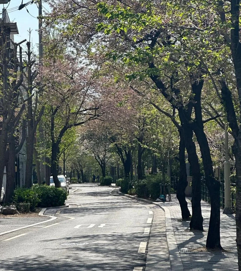 J-Stay Near Hongik Univ In Seoul! 别墅